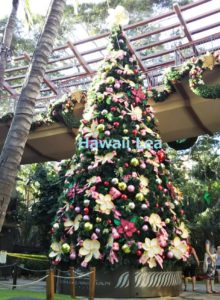 ハワイのクリスマスはいつから おすすめの過ごし方や休みのお店もチェック ハワイレア